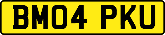 BM04PKU