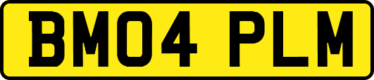 BM04PLM