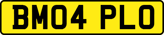 BM04PLO
