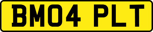 BM04PLT