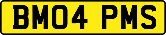 BM04PMS