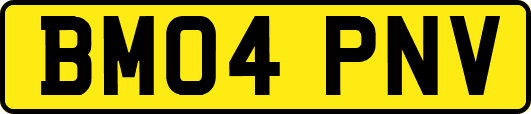 BM04PNV
