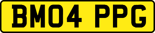 BM04PPG