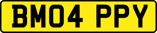 BM04PPY