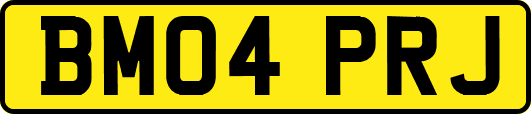 BM04PRJ