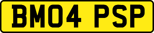 BM04PSP