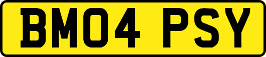 BM04PSY