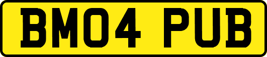 BM04PUB