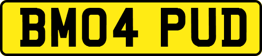 BM04PUD