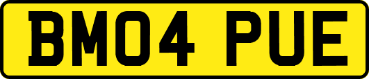 BM04PUE