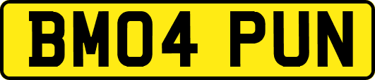 BM04PUN