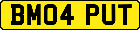 BM04PUT