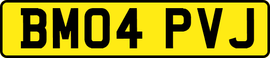 BM04PVJ
