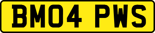 BM04PWS