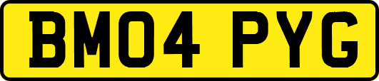 BM04PYG