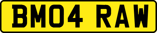 BM04RAW