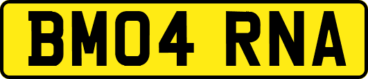 BM04RNA
