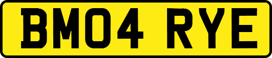 BM04RYE