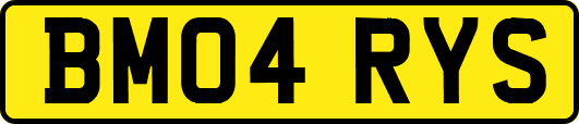 BM04RYS
