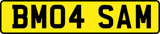 BM04SAM