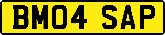 BM04SAP