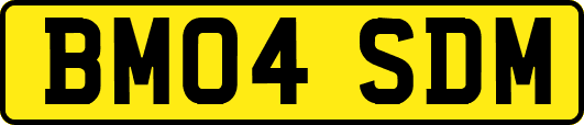 BM04SDM