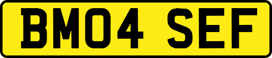BM04SEF