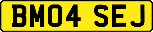 BM04SEJ
