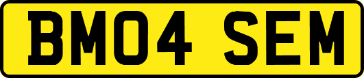BM04SEM
