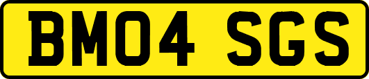 BM04SGS