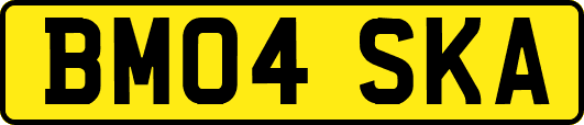 BM04SKA