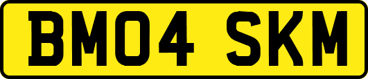 BM04SKM