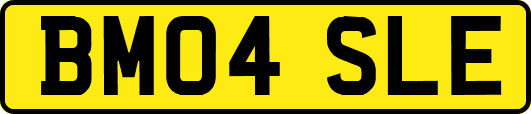 BM04SLE