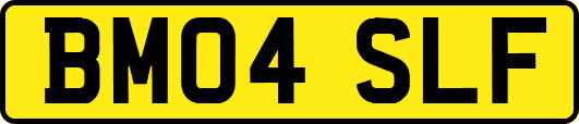 BM04SLF