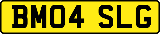 BM04SLG