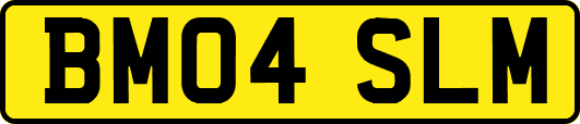 BM04SLM
