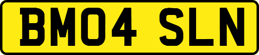 BM04SLN