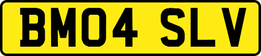 BM04SLV