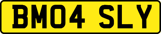 BM04SLY