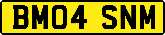BM04SNM