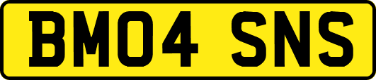 BM04SNS