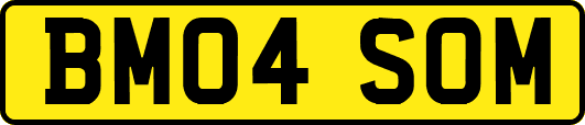 BM04SOM