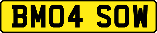 BM04SOW