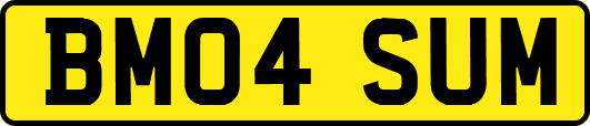 BM04SUM