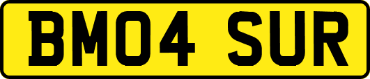 BM04SUR