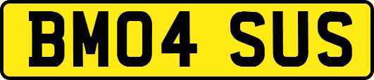 BM04SUS