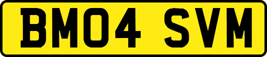 BM04SVM