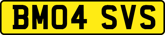 BM04SVS