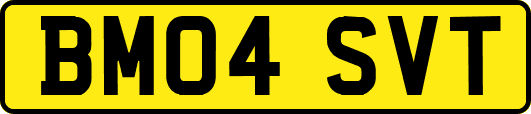 BM04SVT