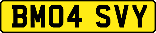 BM04SVY